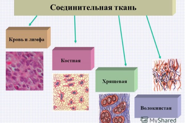 Кракен тор текст