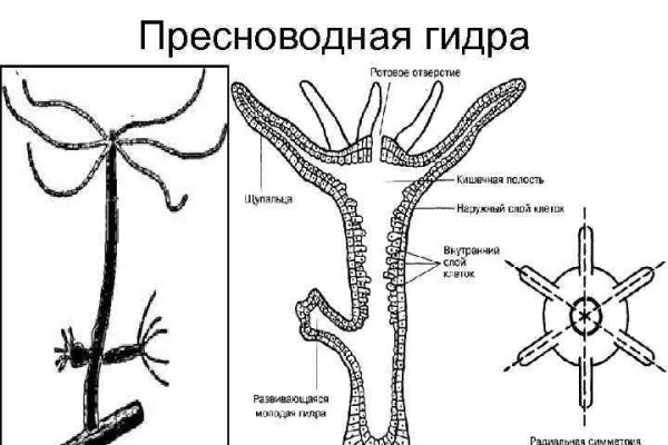 Кракен даркнет официальный сайт